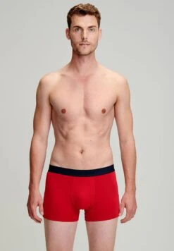 Armor-Lux UNI LÉGER - Panties - Gris Chiné Médium -Armor Lux 549d91e23d524ba6b67654172237435e